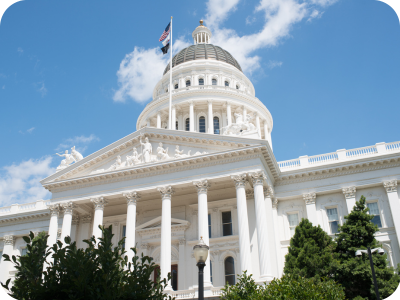 Visiting the Capitol