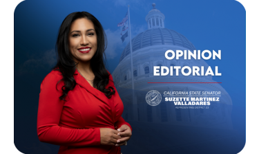 Senatorial Valladares Opinion Editorial